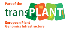 transPLANT logo